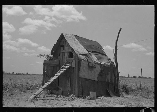 Chicken house, New Madrid County, Missouri