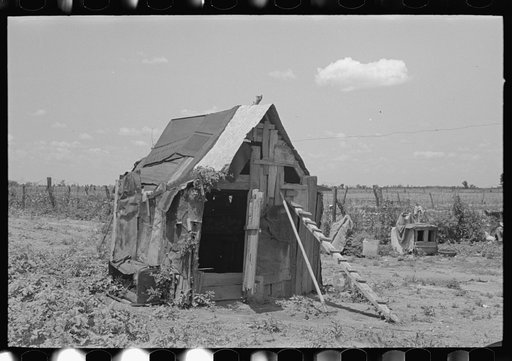 Untitled photo, possibly related to: Chicken house, New Madrid County, Missouri