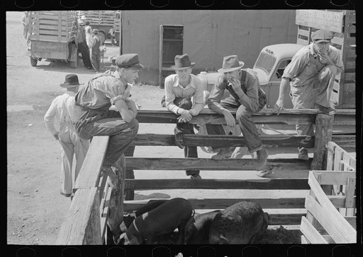 Untitled photo, possibly related to: Farmers at auction looking at livestock, Sikeston, Missouri