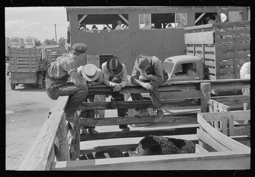 Farmers at auction looking at livestock, Sikeston, Missouri
