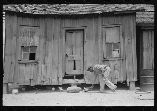 Rear of sharecropper's cabin, Southeast Missouri Farms