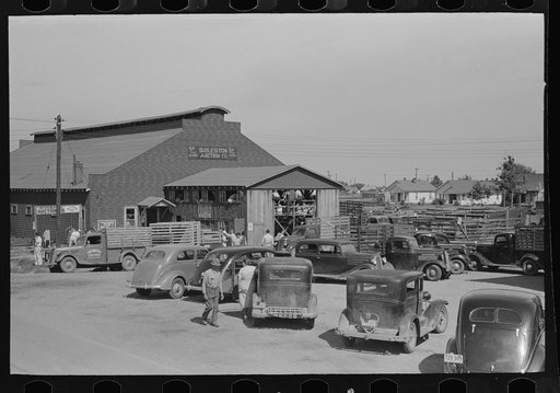 General view of auction, Sikeston, Missouri