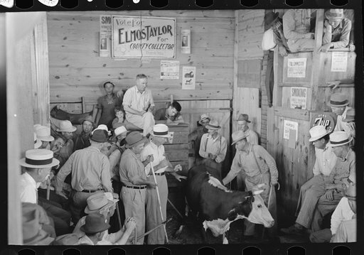 Auction sale, Sikeston, Missouri