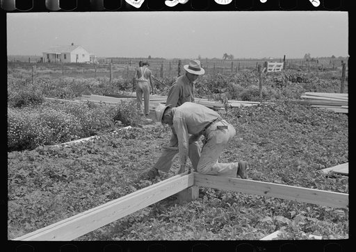 Untitled photo, possibly related to: Barn erection. Nailing together precut girders in barn floor system. Southeast Missouri Farms Project