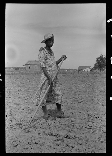 Untitled photo, possibly related to: Negro cotton worker, New Madrid County, Missouri