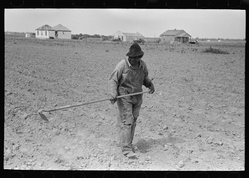 Untitled photo, possibly related to: Negro cotton worker, New Madrid County, Missouri
