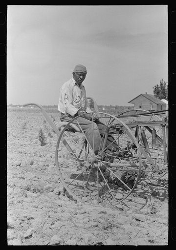 Untitled photo, possibly related to: Southeast Missouri Farms. FSA (Farm Security Administration) client, former sharecropper, cultivating cotton