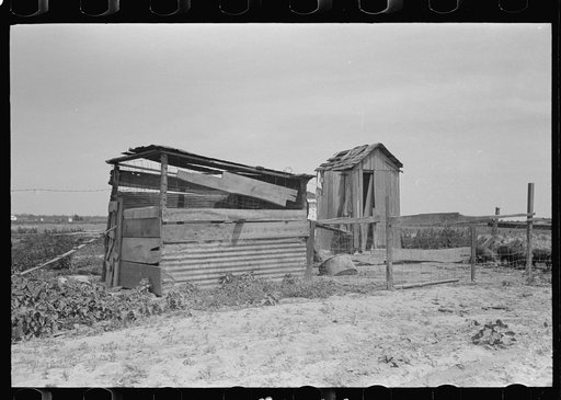 Old henhouse and privy, New Madrid County, Missouri