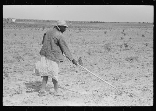 Untitled photo, possibly related to: New Madrid County, Missouri. Sharecropper's wife chopping cotton, Southeast Missouri Farms Project