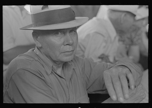 Spectator at livestock auction, Sikeston, Missouri