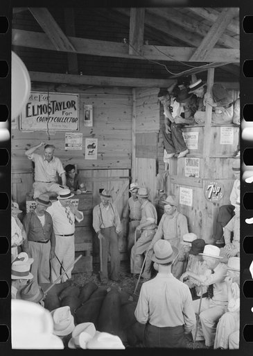 Untitled photo, possibly related to: Spectators at auction sale, Sikeston, Missouri