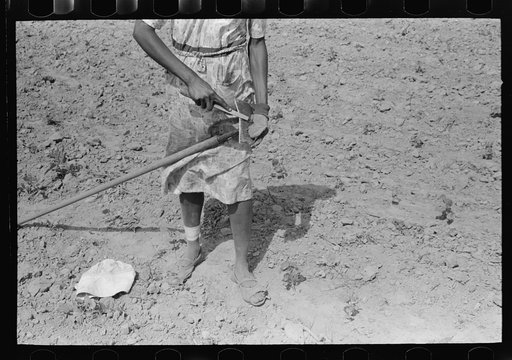 Untitled photo, possibly related to: New Madrid County, Missouri. Sharecropper woman filing hoe in cotton field