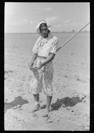 New Madrid County, Missouri. Cotton hoeing