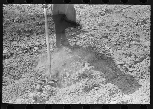 New Madrid County, Missouri. Chopping cotton