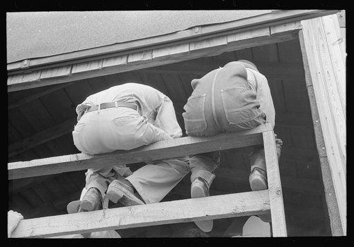 Southeast Missouri Farms, spectators at auction of cattle near Sikeston, Missouri