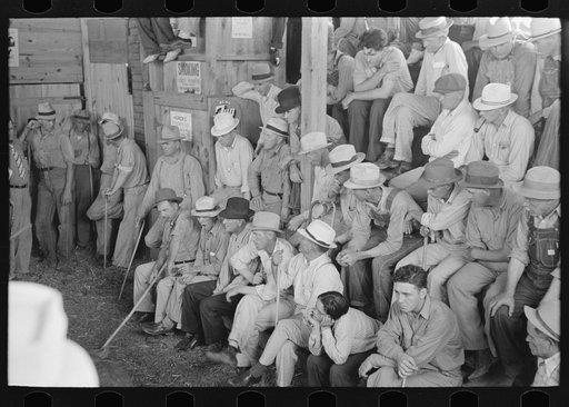 Farmers at livestock auction, Sikeston, Missouri
