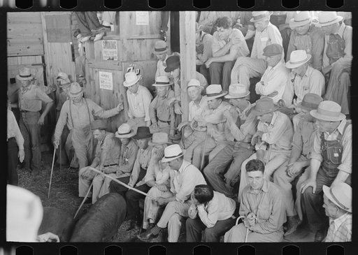 Untitled photo, possibly related to: Farmers at livestock auction, Sikeston, Missouri