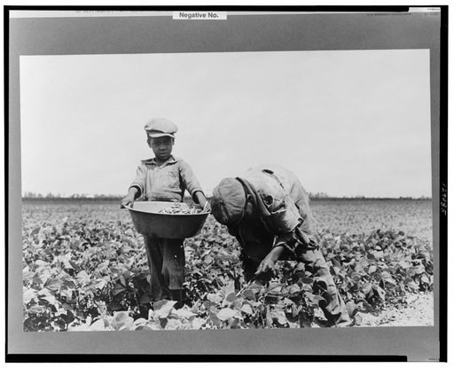 Southeast Missouri Farms. Children of sharecropper picking string beans