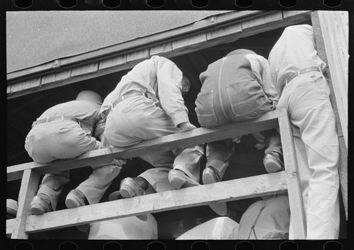 Rear view of spectators at livestock auction, Sikeston, Missouri