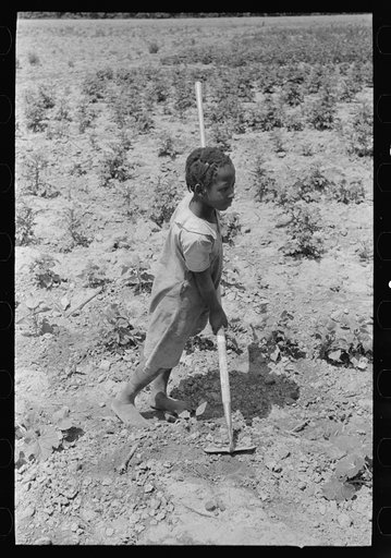 Southeast Missouri Farms. Daughter of FSA (Farm Security Administration) client, former sharecropper, leaning on hoe