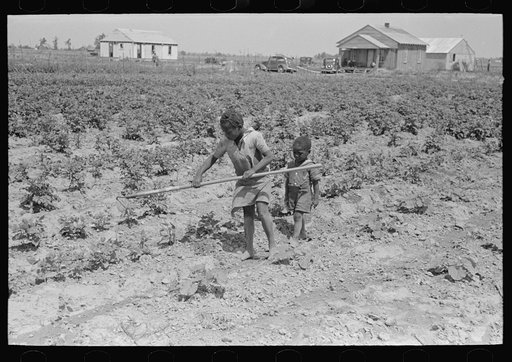 Untitled photo, possibly related to: New Madrid County, Missouri. Sharecropper's child working in garden, Southeast Missouri Farms