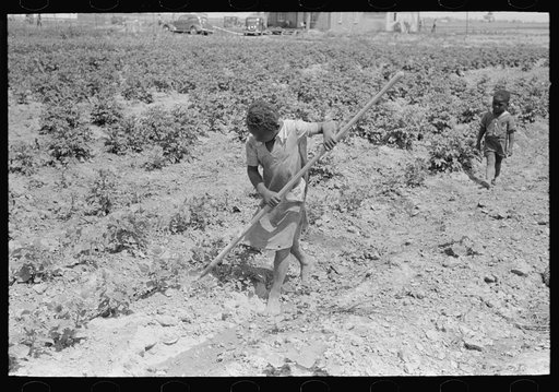 New Madrid County, Missouri. Sharecropper's child working in garden, Southeast Missouri Farms