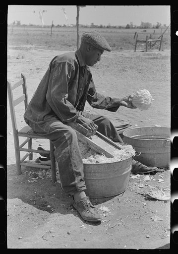 Southeast Missouri Farms. FSA (Farm Security Administration) client shredding cabbage at new farmstead; cabbage is cut up as sauerkraut