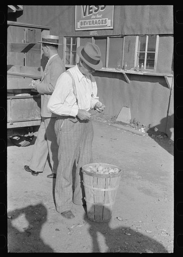 Farmer eating peach at livestock auction, Sikeston, Missouri