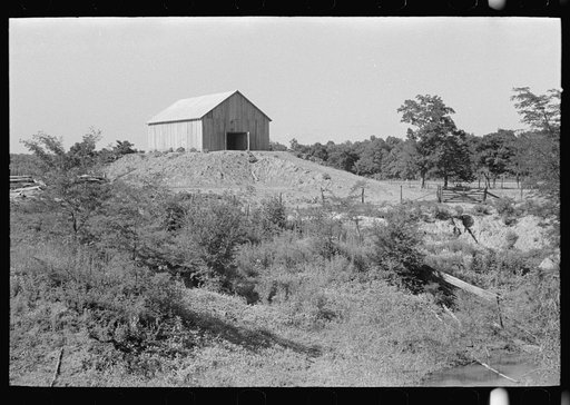 Barn on a hummock, New Madrid Fuse Plug Levee District, Missouri. These elevations are artificially made so as to be above flood level