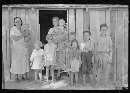 Farming of sharecropper, cut-over farmer of Mississippi bottoms