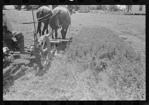 New Madrid County, Missouri. Cutting alfalfa