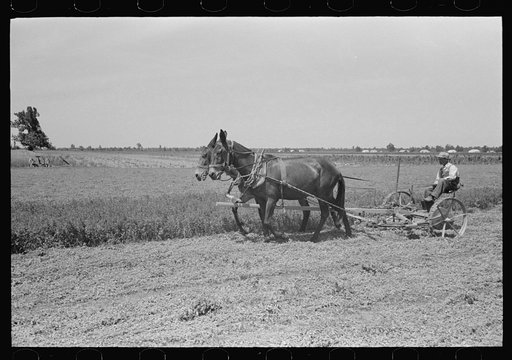 Untitled photo, possibly related to: Ex-sharecropper, FSA (Farm Security Administration) client, going to work in the fields, New Madrid County, Missouri