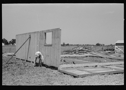 Barn erection. Outside panels are raised into place and secured. Note distribution of panels around the sills. Southeast Missouri Farms Project