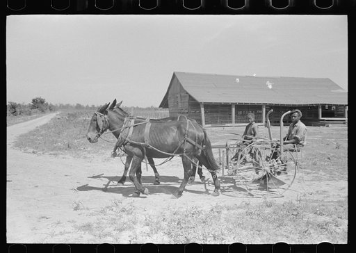 Ex-sharecropper, FSA (Farm Security Administration) client, going to work in the fields, New Madrid County, Missouri