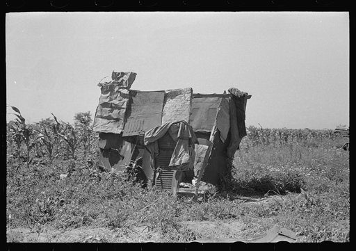 Sharecropper's shed, New Madrid County, Missouri