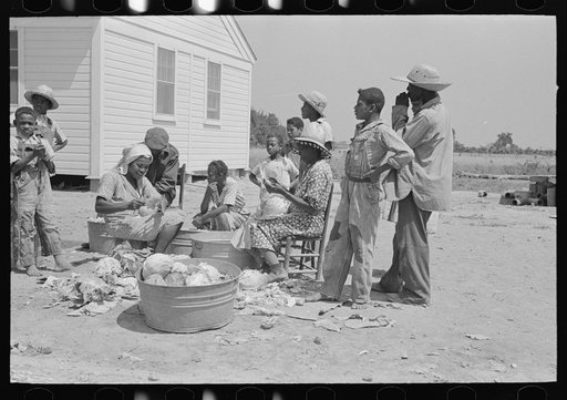 Southeast Missouri Farms. Family of FSA (Farm Security Administration) client shredding cabbage