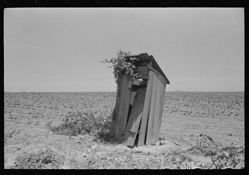 Sharecropper's privy, New Madrid County, Missouri