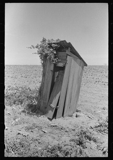 Sharecropper's privy, New Madrid County, Missouri