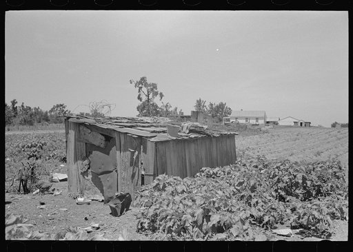 Tool shed of sharecropper, New Madrid County, Missouri