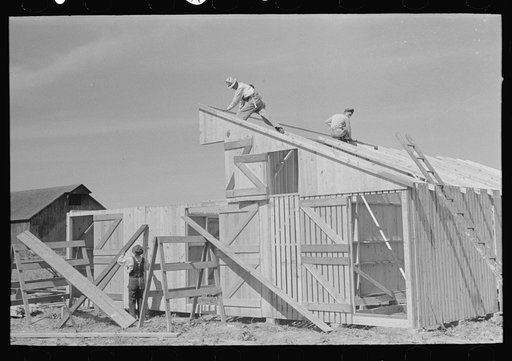 Barn erection. Gable panel is braced to rafters. Southeast Missouri Farms Project