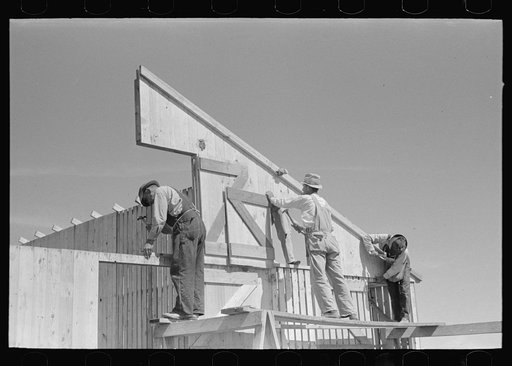 Barn erection. Gable panel at corn crib end is raised into place and nailed. Southeast Missouri Farms Project