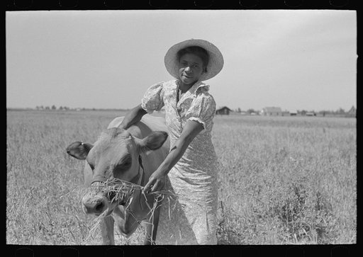 FSA (Farm Security Administration) client's wife with cow, Southeast Missouri Farms