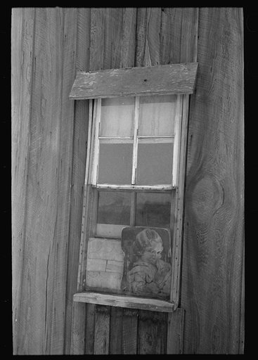 Detail of window of sharecropper's cabin, New Madrid County, Missouri