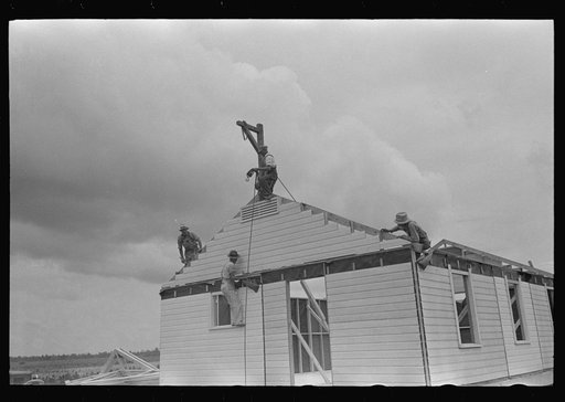Untitled photo, possibly related to: Barn erection. Gable panel is braced to rafters. Southeast Missouri Farms Project