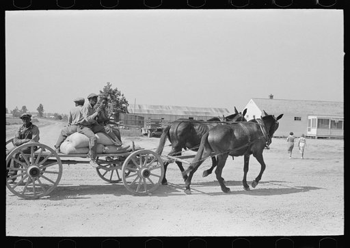 Southeast Missouri Farms. FSA (Farm Security Administration) clients on wagon