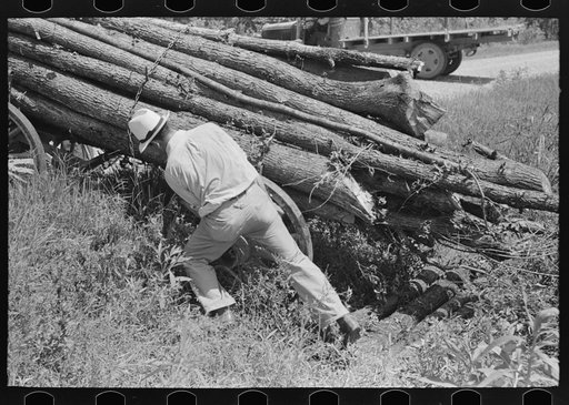 Attempting to dislodge wagon from ditch near La Forge, Missouri