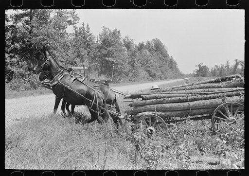 Wagonload of firewood crossing ditch, La Forge, Missouri