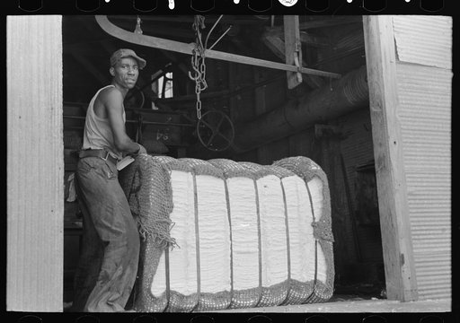 Untitled photo, possibly related to: Cotton on scales at gin, Lehi, Arkansas