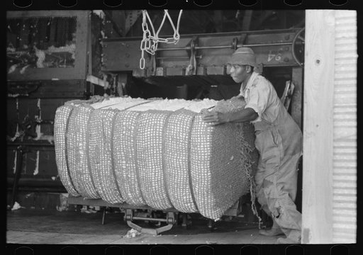 Removing bales of cotton from gin press, Lehi, Arkansas