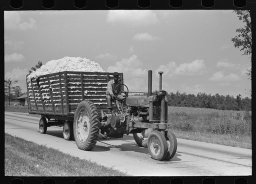 Latest method of hauling cotton to gin, Lehi, Arkansas